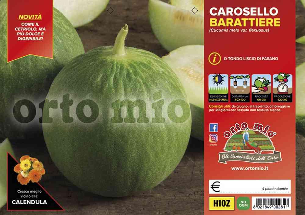Cetriolo Tondo Di Fasano H10Z