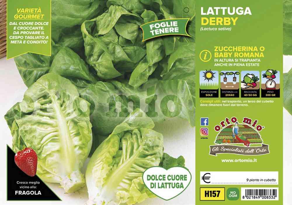 Lattuga Baby Romana Derby H157