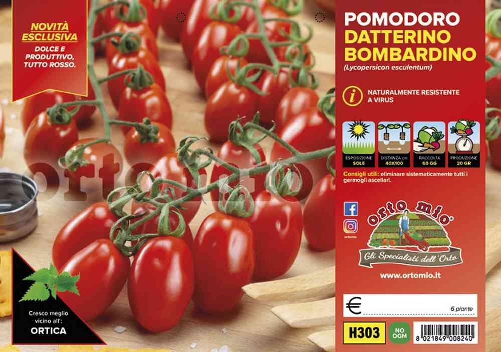 Pomodoro Datterino Tutto Rosso H303