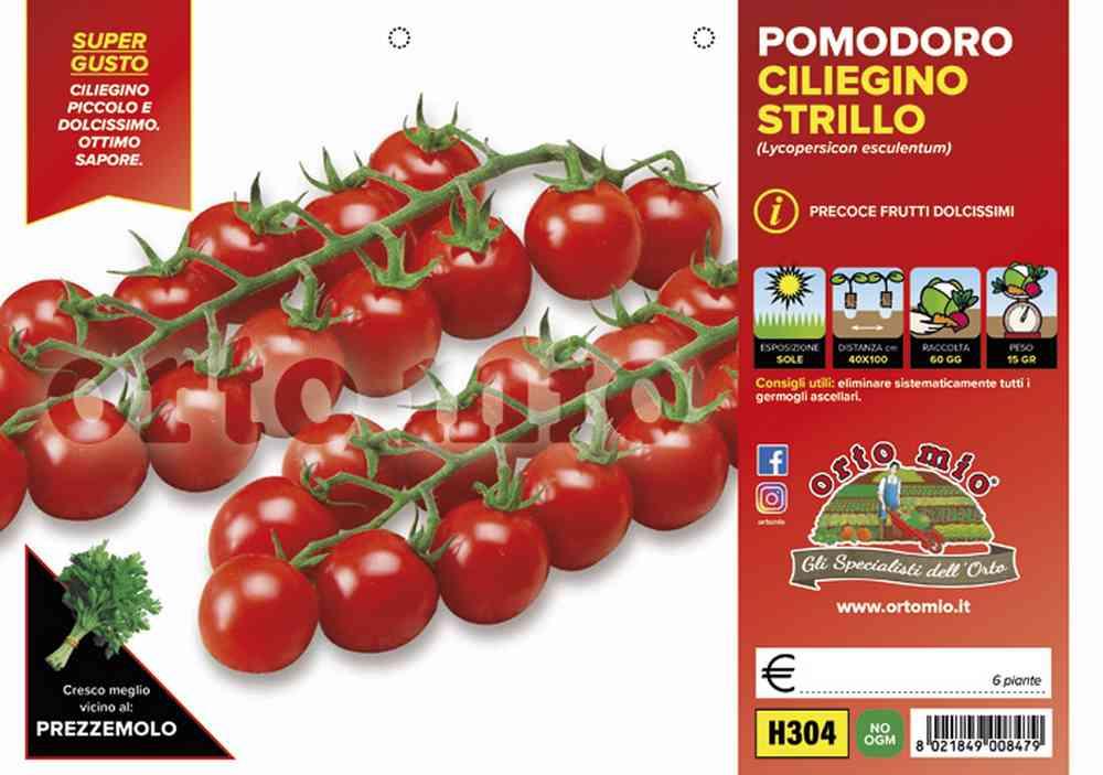 Pomodoro Ciliegino Dolce H304