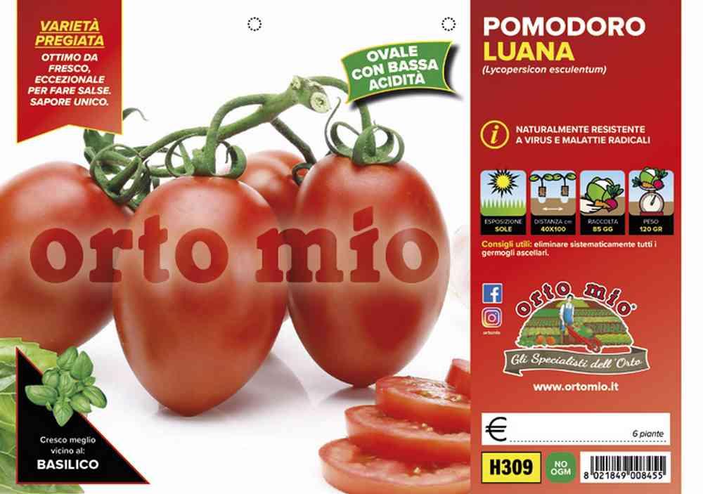 Pomodoro Ovale Luana H309