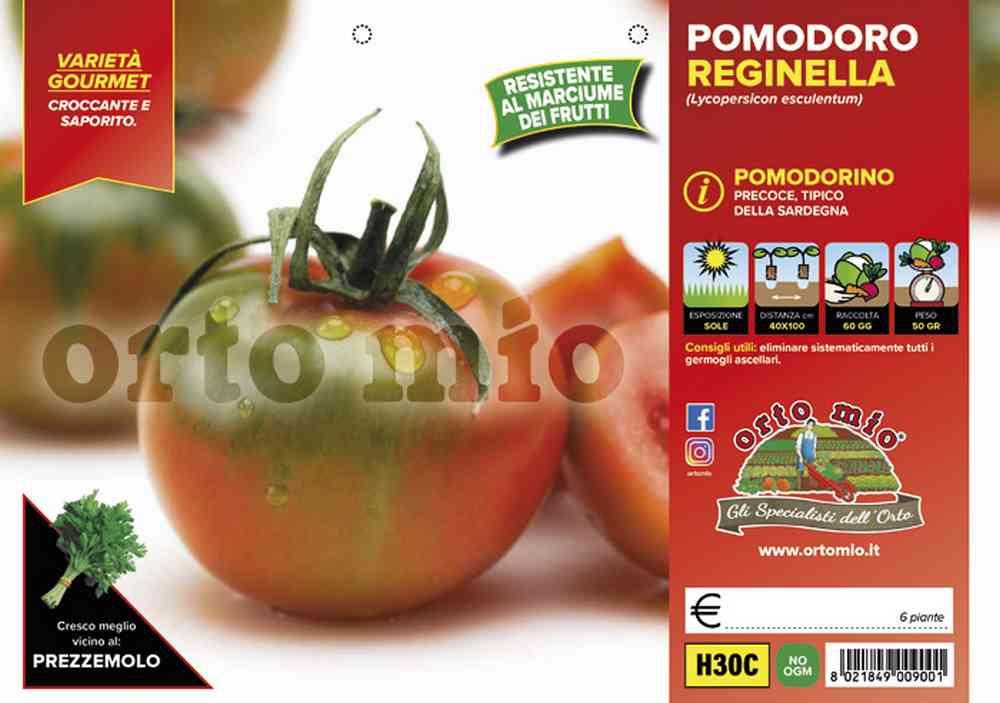 Pomodoro Sardo Reginella H30C