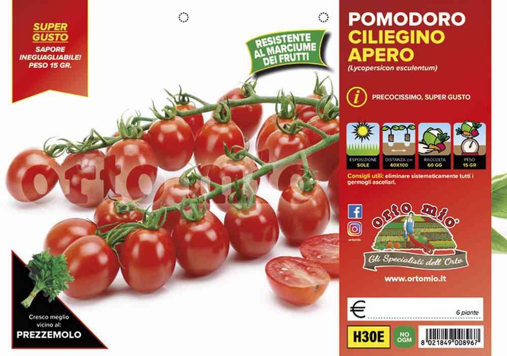Pomodoro Ciliegino Dolcissimo Apero H30E