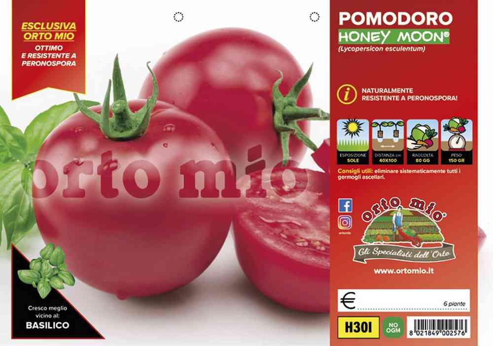Pomodoro Tondo Honey Moon H30I