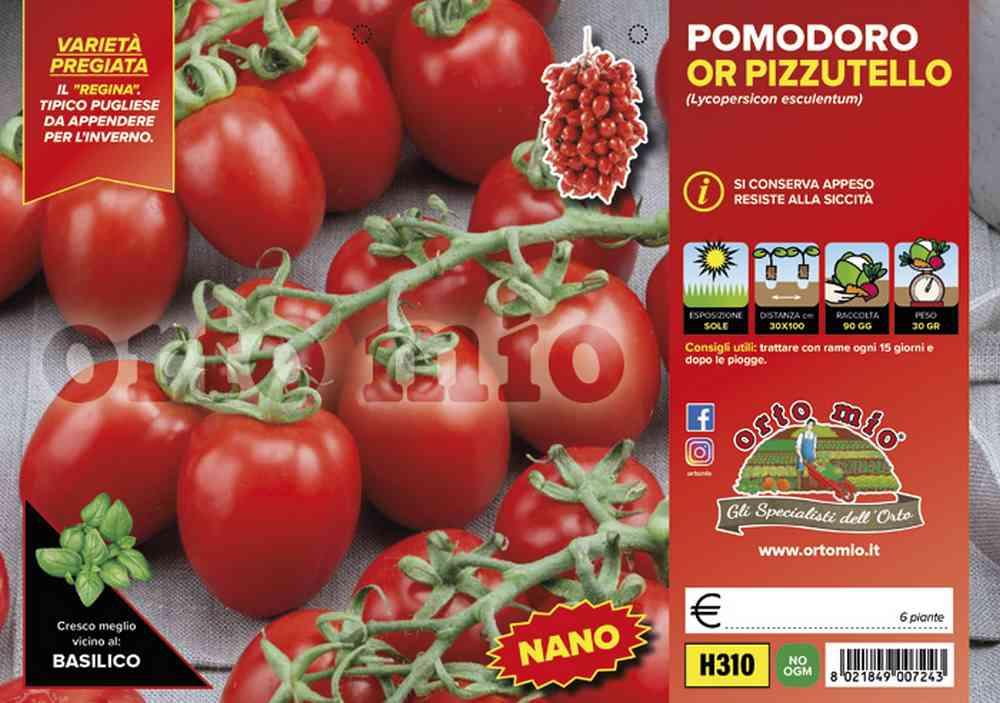 Pomodoro Regina Pizzutello H310