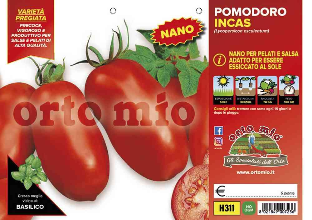 Pomodoro San Marzano H311