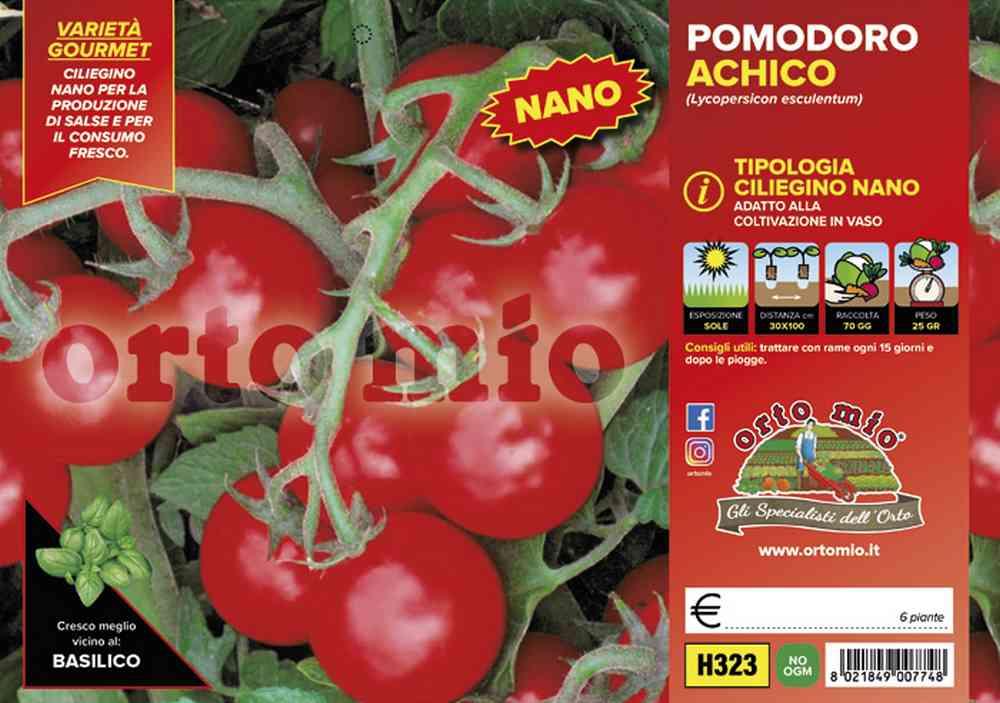Pomodoro Ciliegino Nano Achico H323