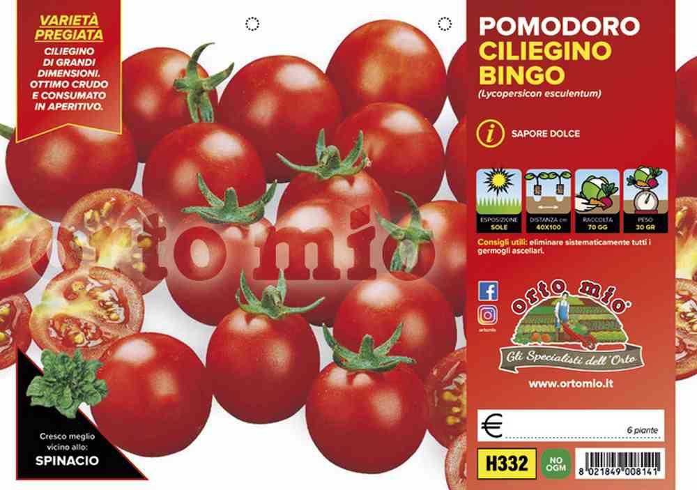 Pomodoro Ciliegino Bingo H332