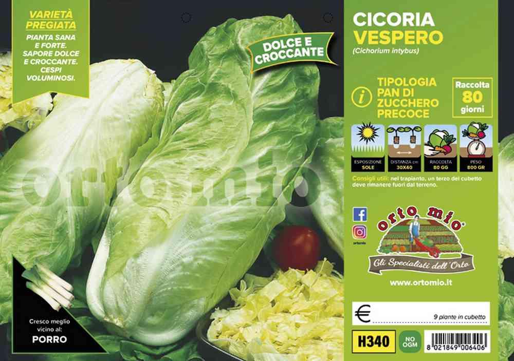 Cicorie Radicchi Vespero H340