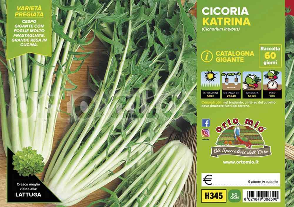 Cicorie E Radicchi Katrina H345