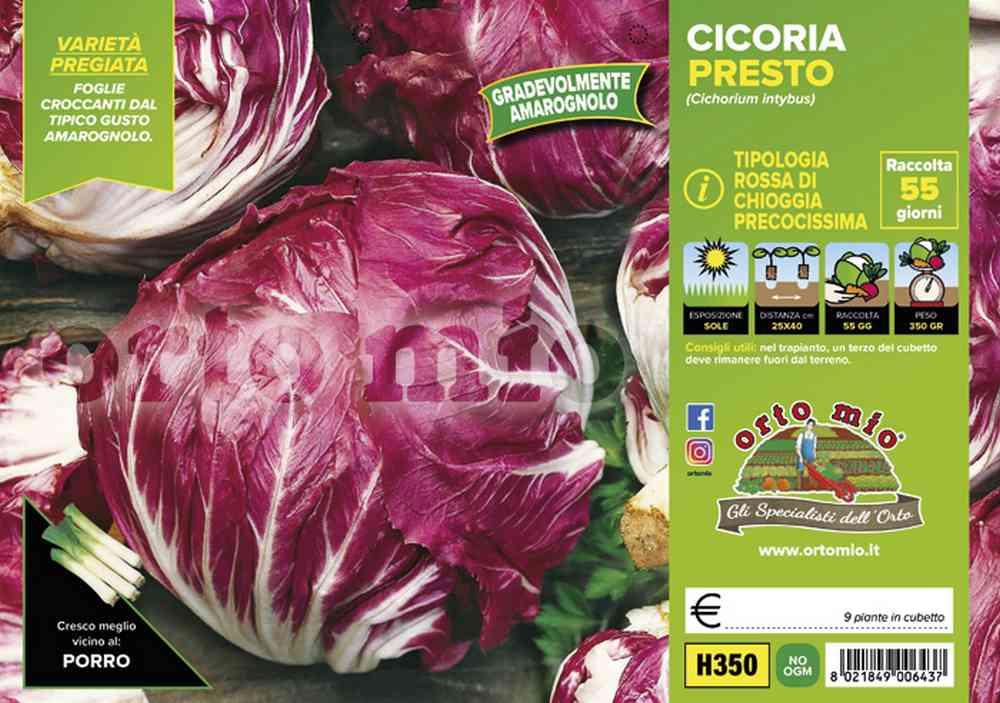 Cicorie E Radicchi Presto H350