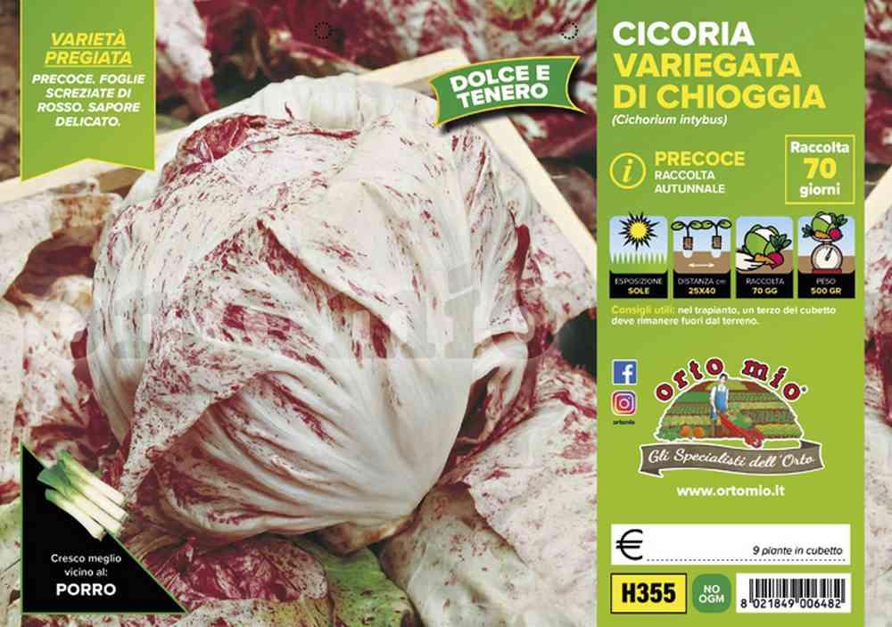 Cicorie Radicchi Chiog. Prec H355