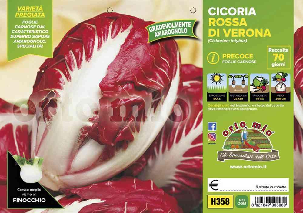 Cicorie Radicchi Verona Prec H358