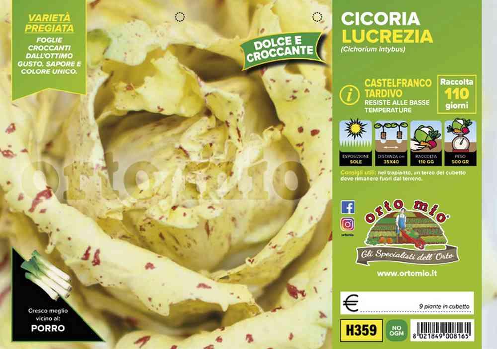 Cicorie E Radicchi Lucreziaá H359