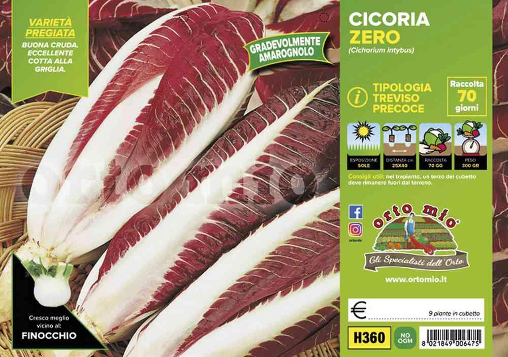 Cicorie Radicchi Zero H360