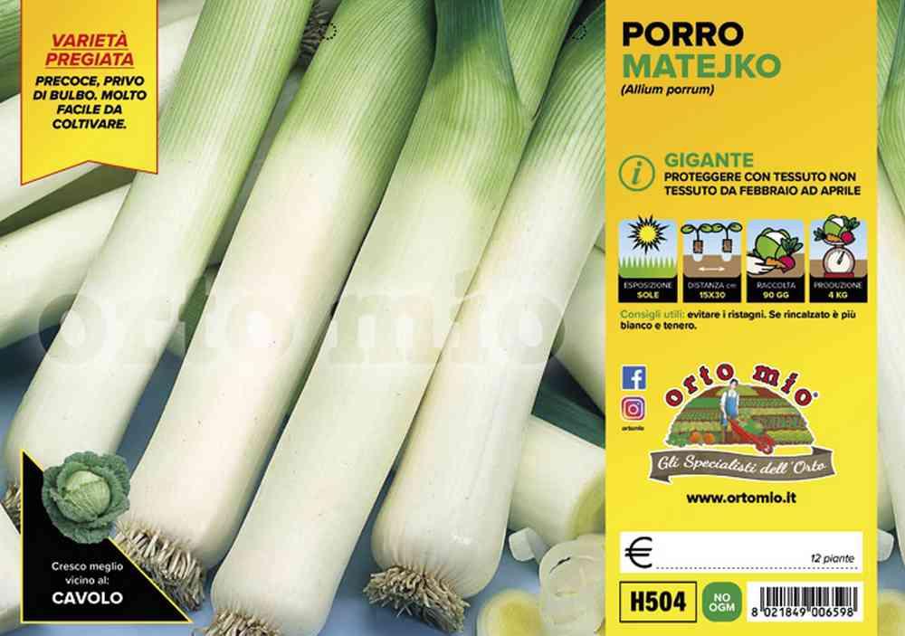 Porro Gigante Megaton Matejko H504