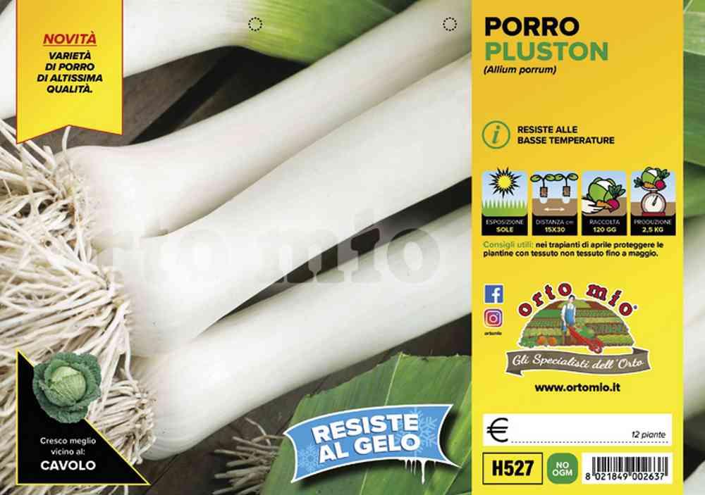Porro Tardivo Pluston H527