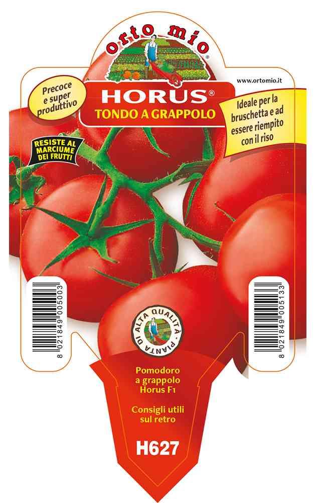 Pomodoro Tondo A Grappolo in vaso 10 H627