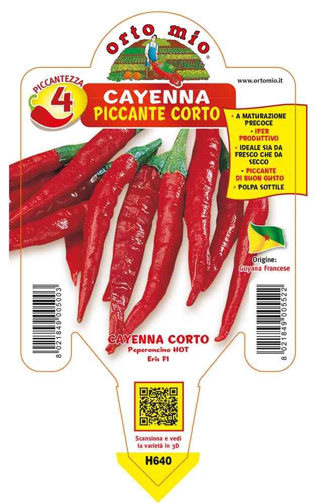Peperoncini Corto Di Cayenna in vaso 10 H640