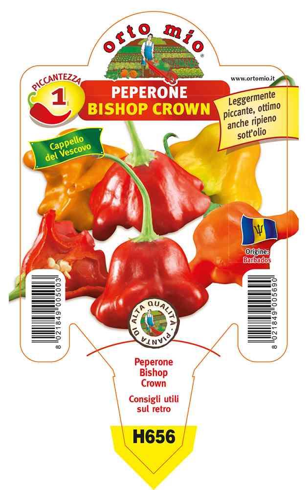 Peperoncini Cappello Del Vescovo (Bishop Crown) in vaso 10 H656