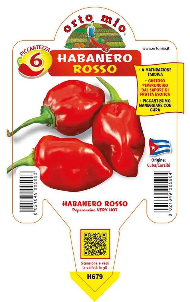 Peperoncini Habanero Rosso in vaso 10 H679