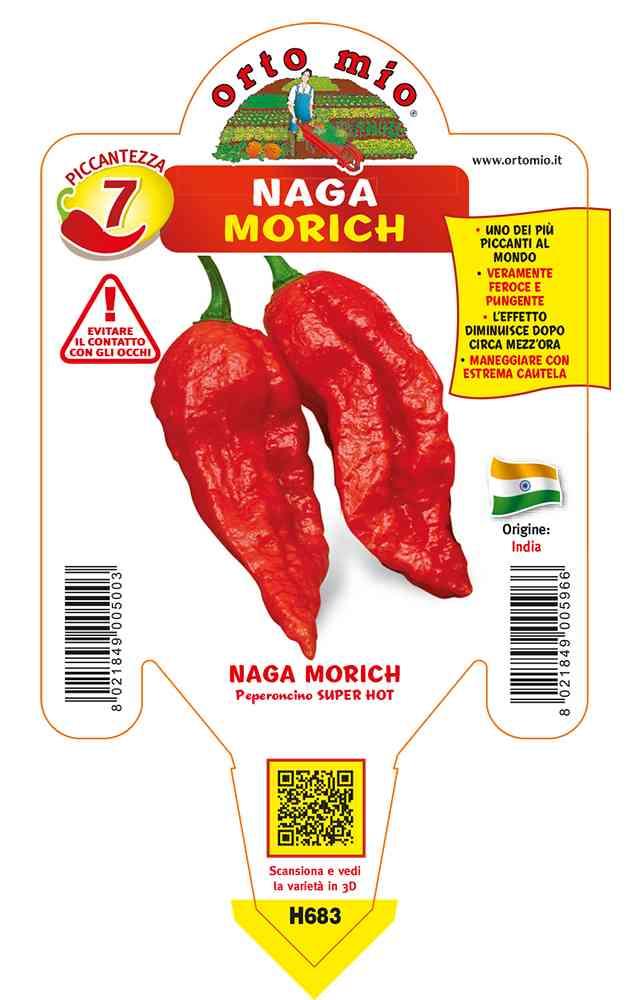 Peperoncini Naga Morich Rosso in vaso 10 H683