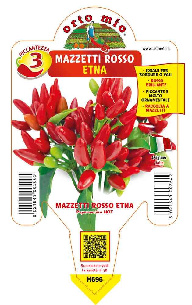 Peperoncini Rosso Mazzetti Etna in vaso 10 H696