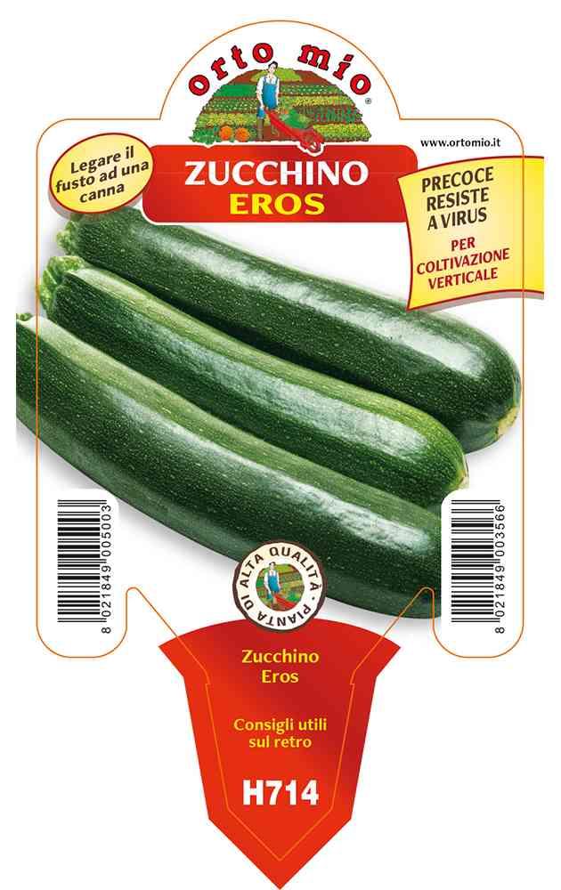 Zucchino Scuro Da Palo Eros in vaso 10 H714