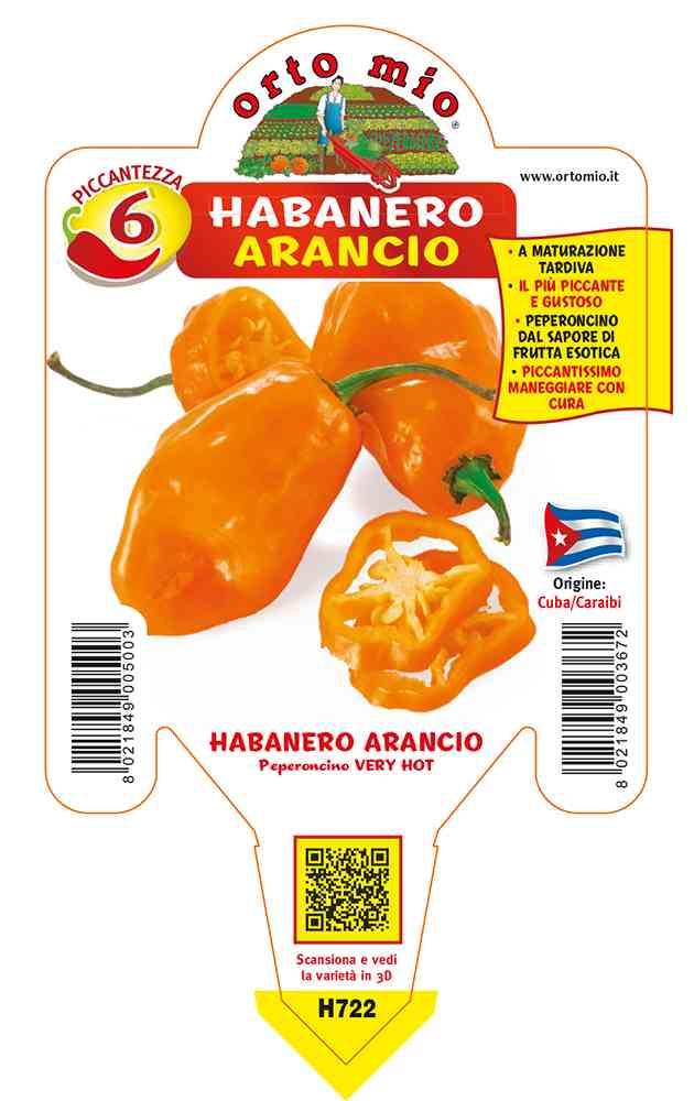 Peperoncini Habanero Arancio in vaso 10 H722