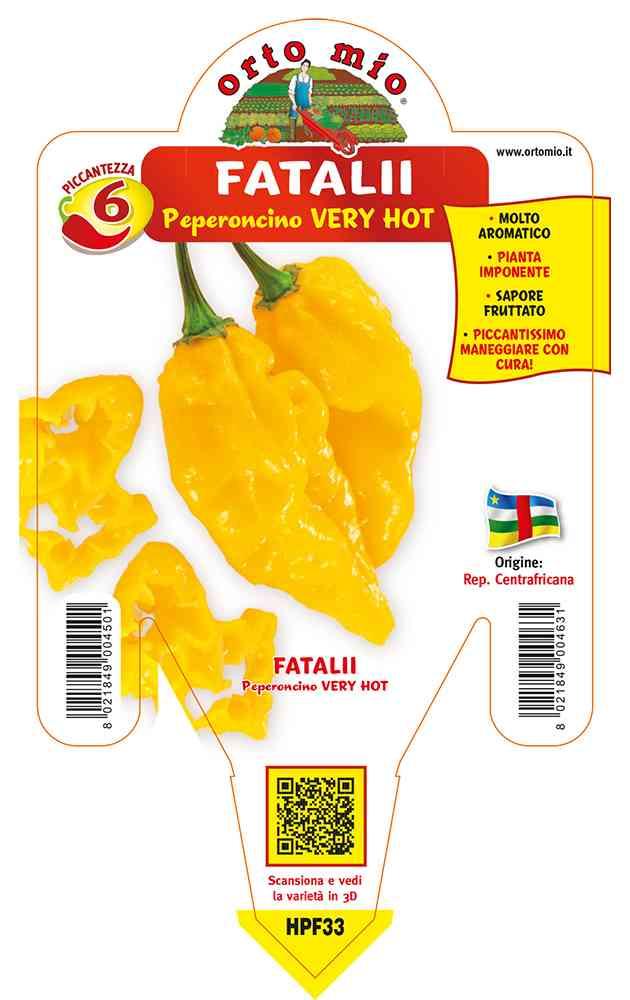 Peperoncino Fatalii Gialli Very Hot in vaso 14 HPF33