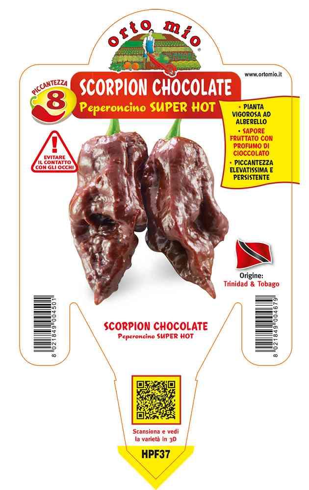 Peperoncino Trinid Scorpion Chocolate Super Hot in vaso 14 HPF37