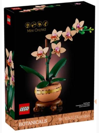 10343 Mini orchidea