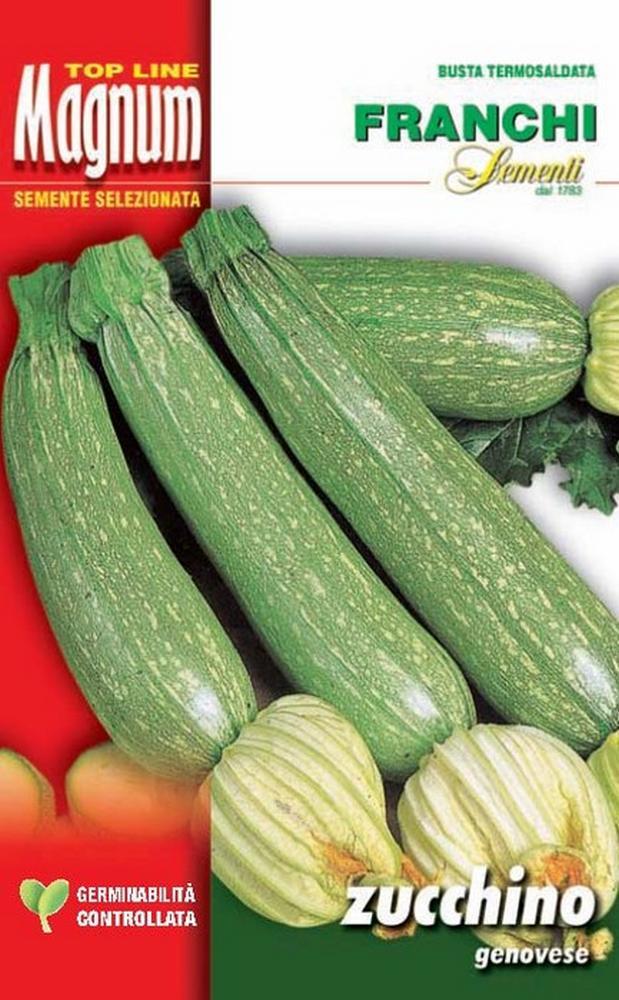 Zucchino genovese busta Magnum semi orto