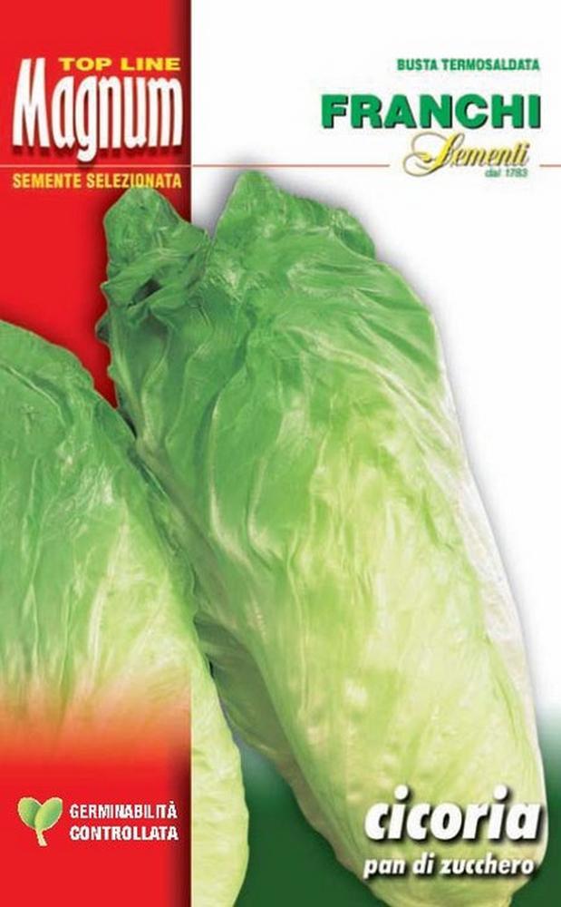 Cicoria pan di zucchero busta Magnum semi orto