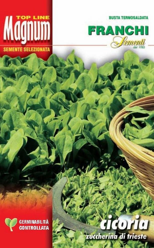 Cicoria zuccher.trieste busta Magnum semi orto