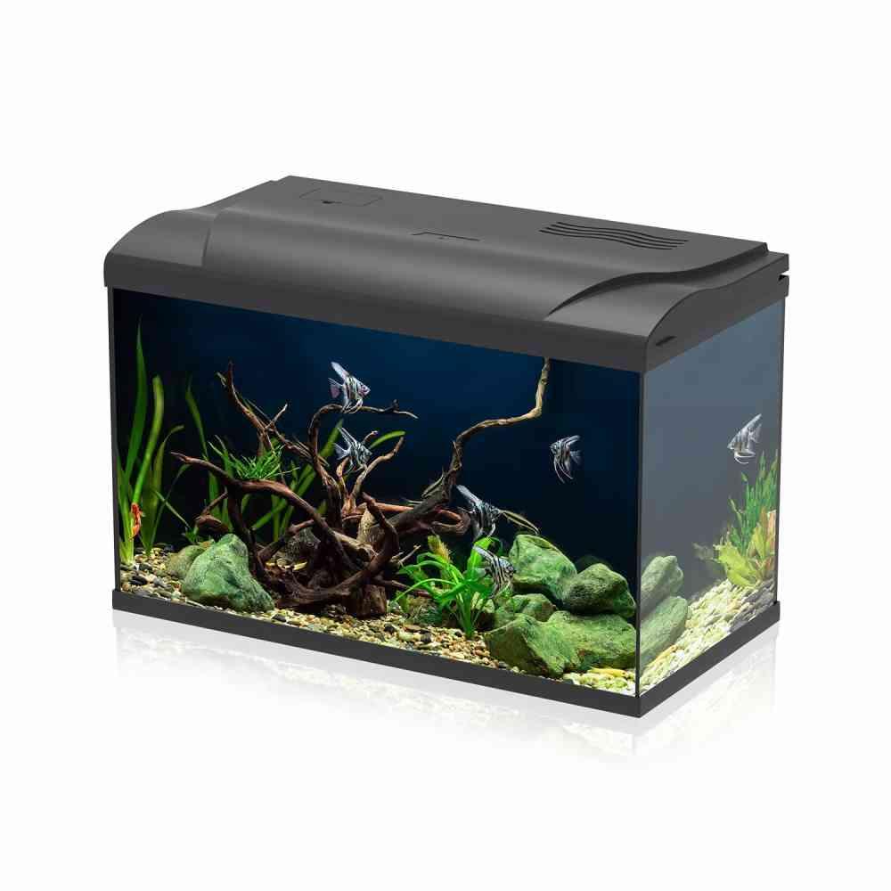 Acquario 55 litri led nero