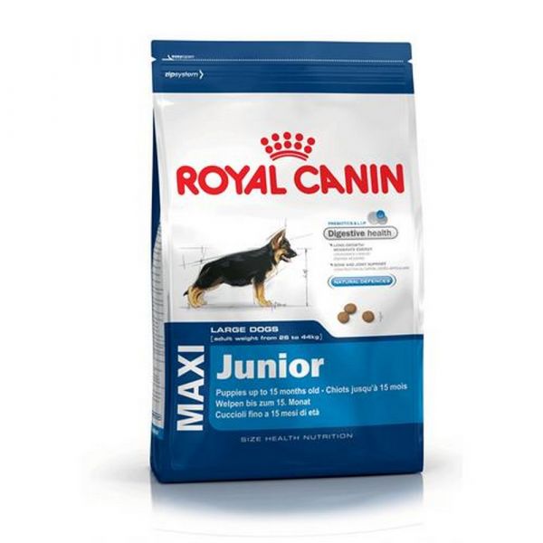Royal canin maxi junior secco cane kg. 4