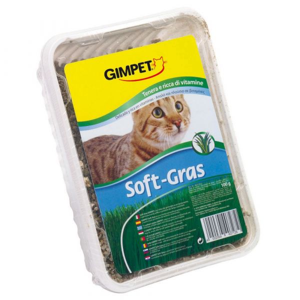 Erba gatto soft gras gimpet gr. 100 GIMPET 00283731