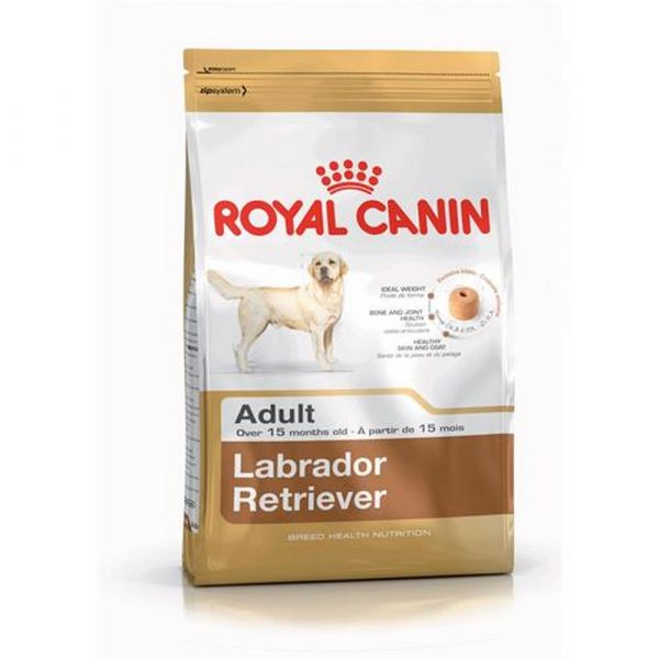 Royal canin labrador retriever secco cane kg. 12