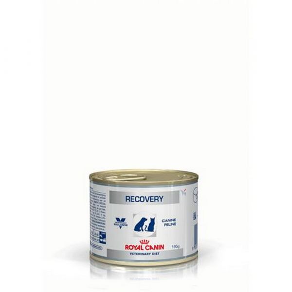 Royal canin recovery umido gatto gr. 195 ROYAL CANIN 00475853 AgricolaShop