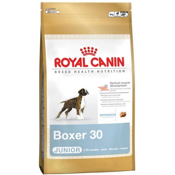 Royal canin boxer junior secco cane kg. 12