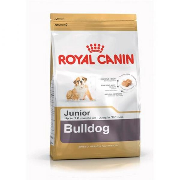 Royal canin bulldog inglese junior secco cane kg. 12