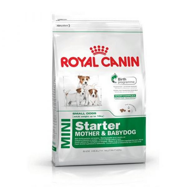 Royal canin mini starter mother & babydog secco cane kg. 1