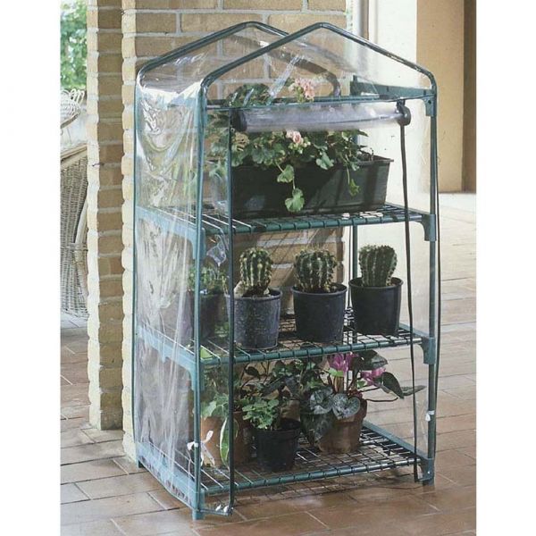 Serra azalea a 3 ripiani