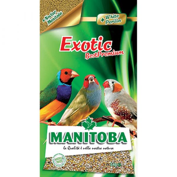 Mangime per uccelli exotic manitoba kg. 1