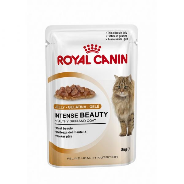 Royal canin intense beauty in gelatina umido gatto gr. 85