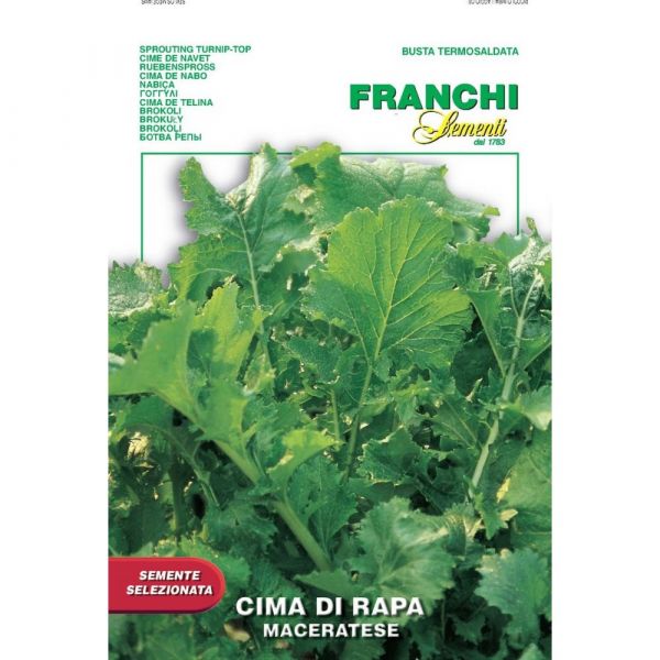 Semente selezionata cima di rapa maceratese