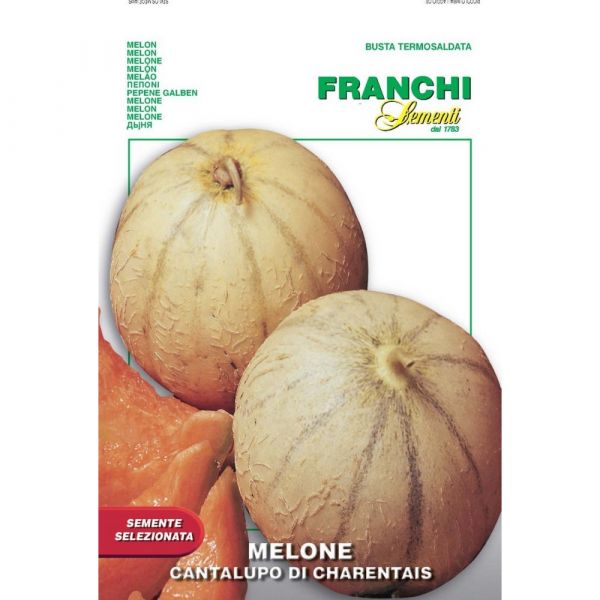 Semente selezionata melone cantalupo di charentais