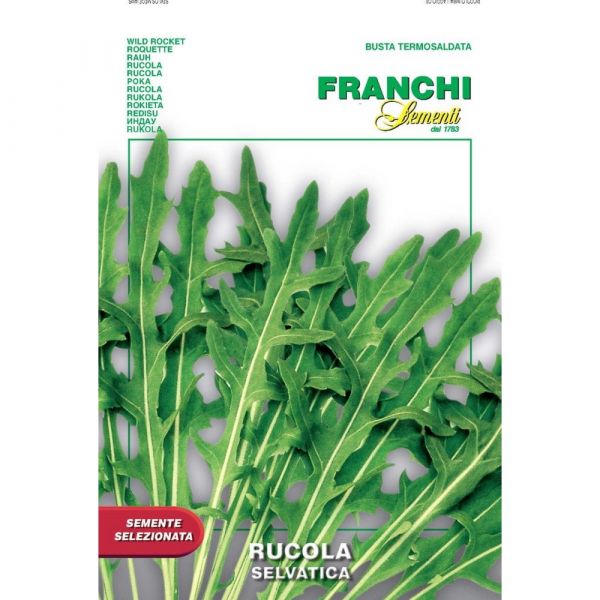 Semente selezionata rucola selvatica