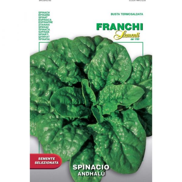 Semente selezionata spinacio andhal
